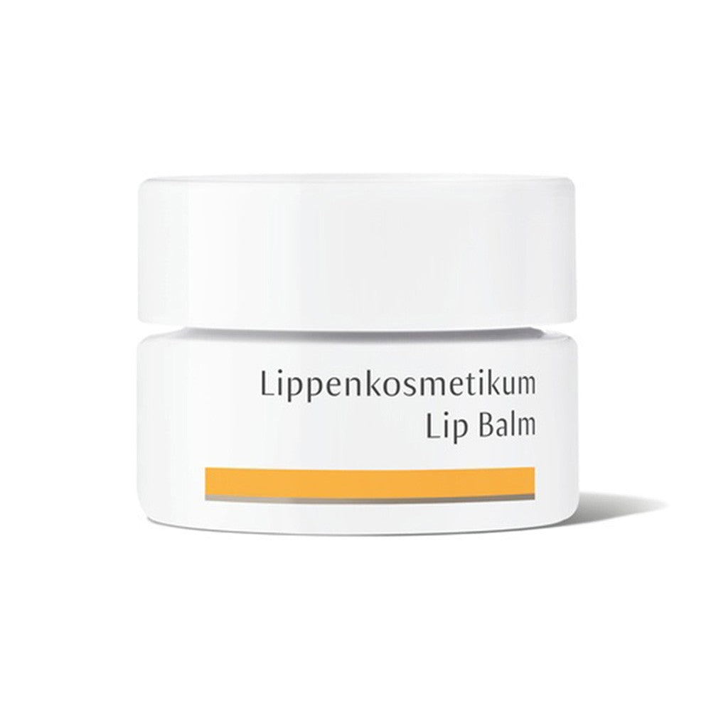 DR. HAUSCHKA lip balm 4.5 ml